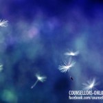 Dandelions