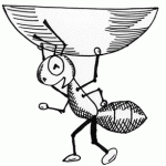 An Ant carrying a contact lens.