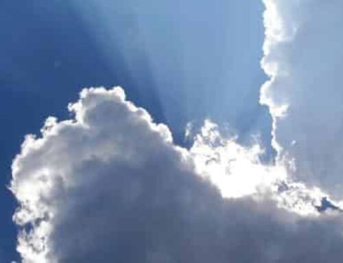 A Ray of Light